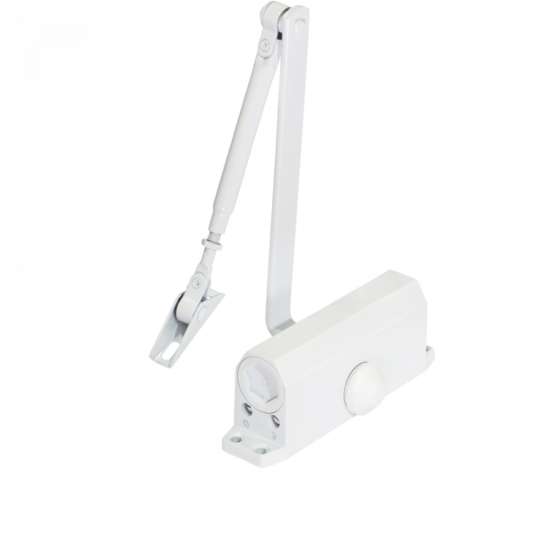 ЛЮБОЙ БЕЛЫЙ (1)